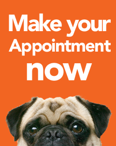 MakeAppointment